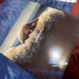 Beyoncé lemonade record !!